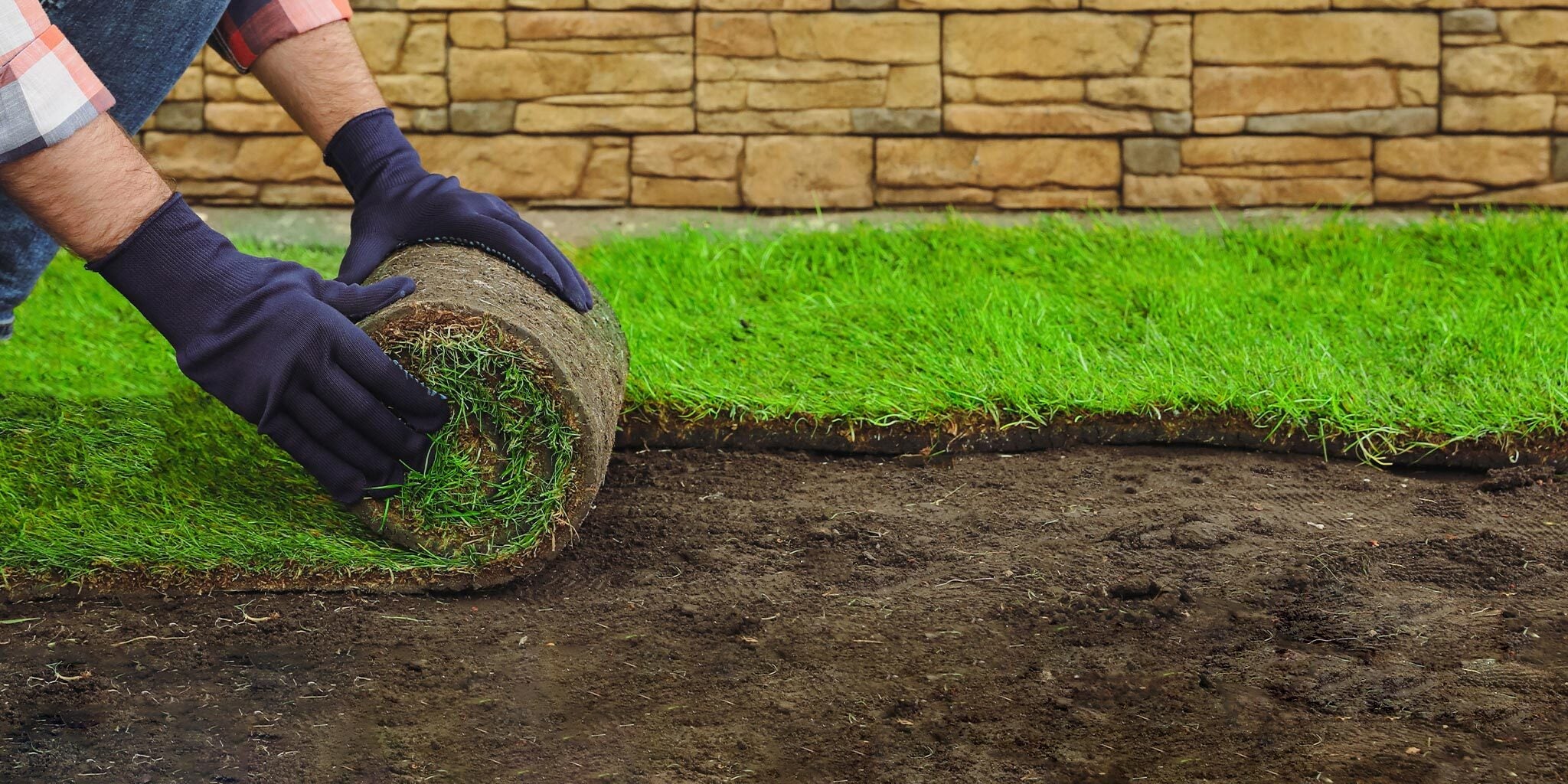 Fresh Turf Delivered To You